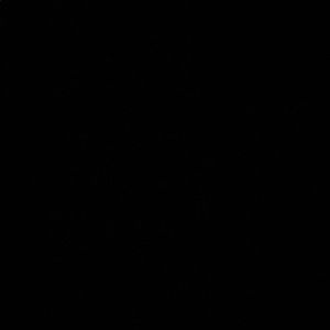 Meet your Posher, Lucas